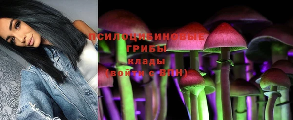 ГАЛЛЮЦИНОГЕННЫЕ ГРИБЫ Горно-Алтайск