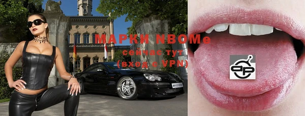 СК Горняк
