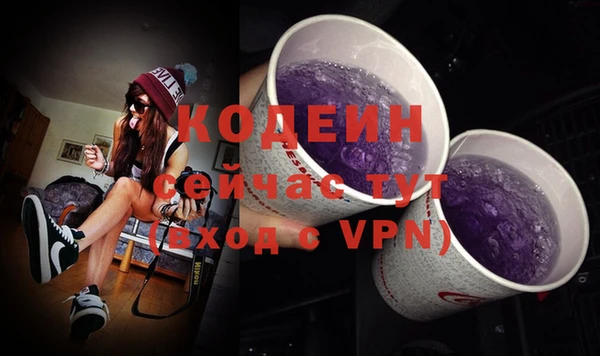 СК Горняк